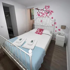  Appartement Apartamento 1 Quarto, Com Patio, Em Frente